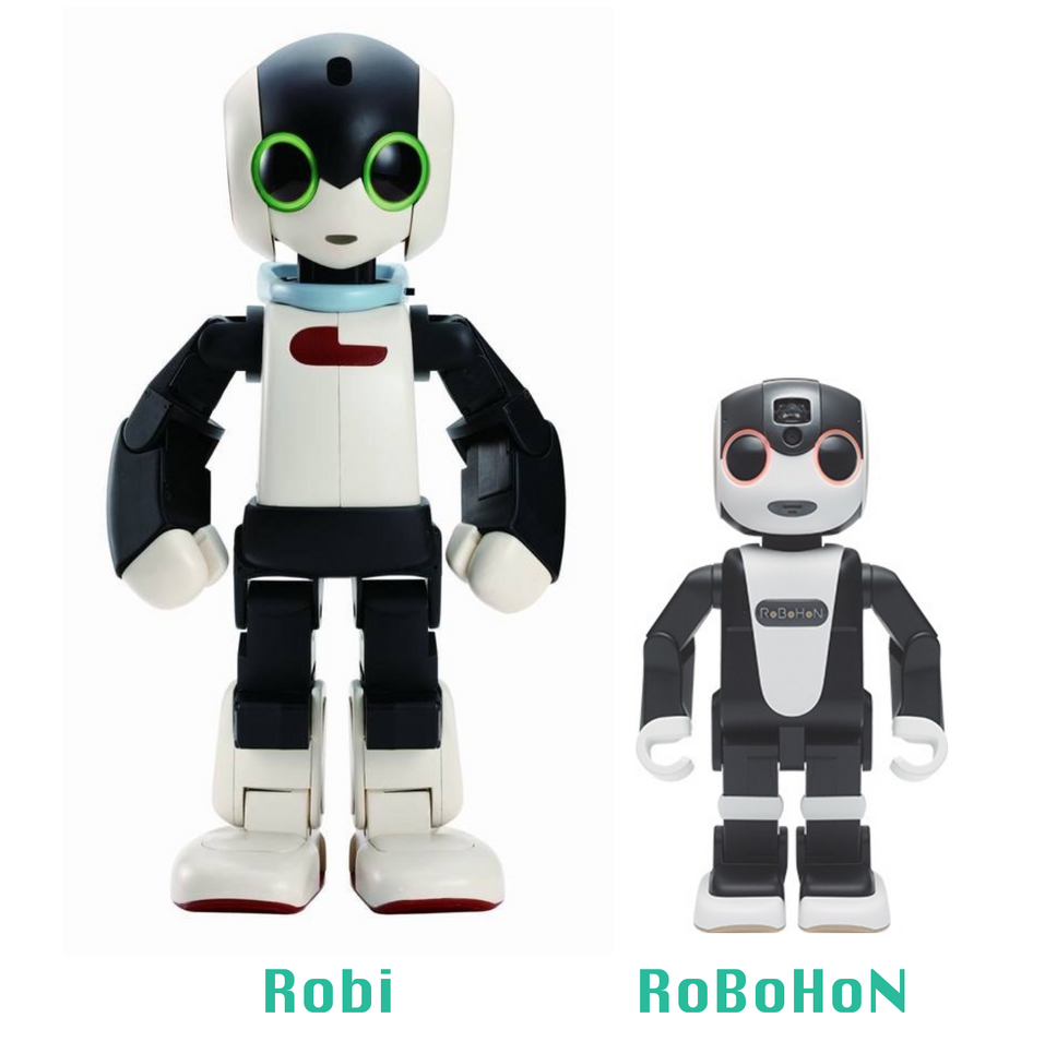 robohon01
