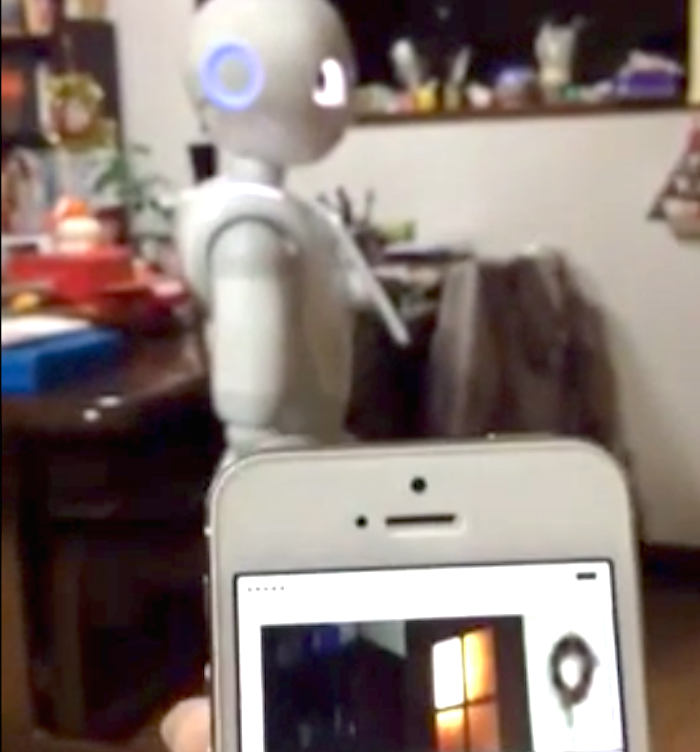 pepper remote control 02