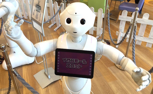 160110_makuhari-pepper007