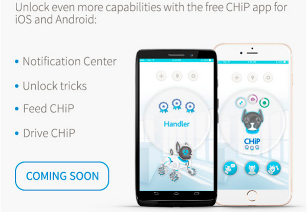 160125_chip007