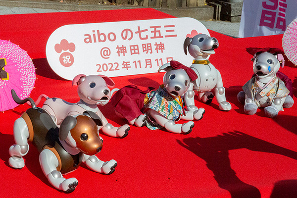 ソニー「アイボの七五三」を今年も神田明神で開催 約30体のaiboが揃っ