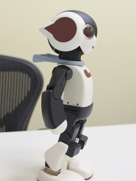 robi-02-04