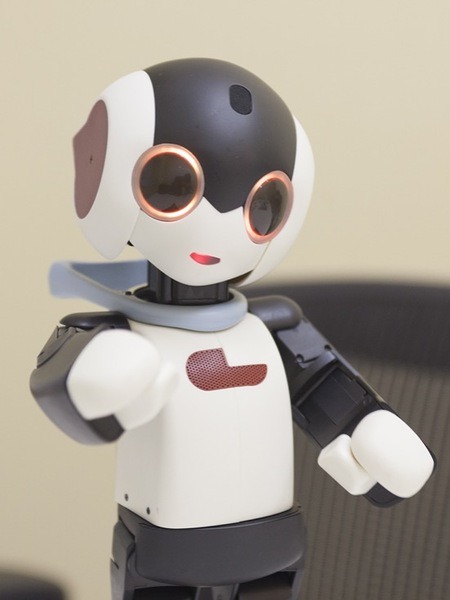 robi-02-06