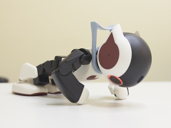 robi-02-07