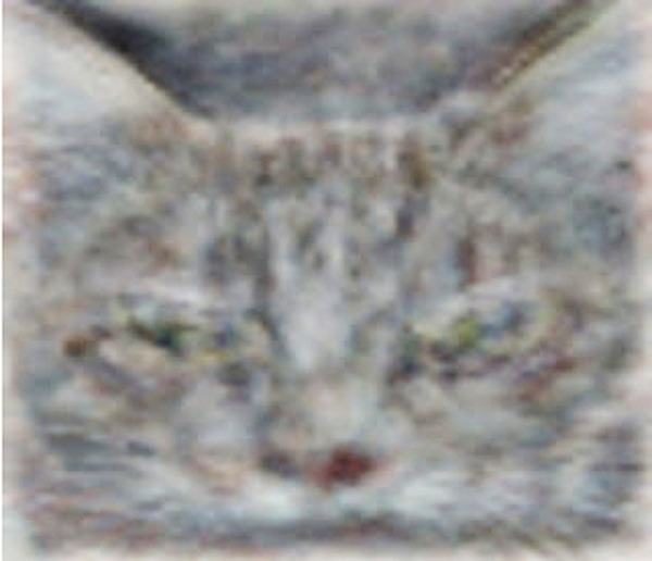 18-ai-04