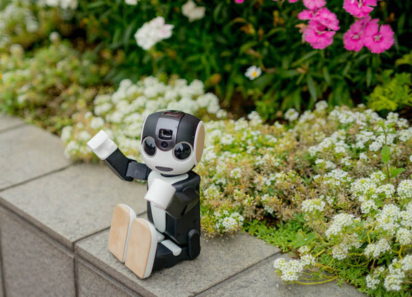robohon03