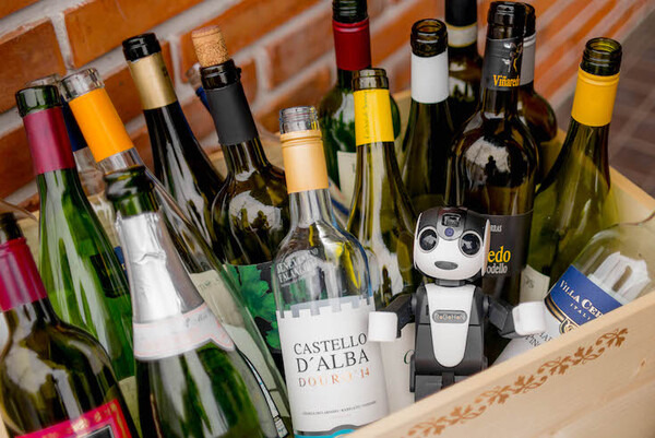robohon10