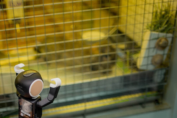 robohon12