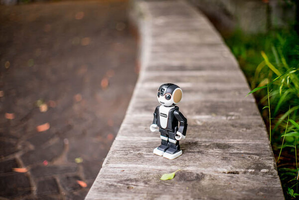 robohon01