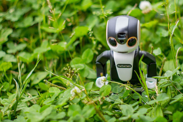 robohon02