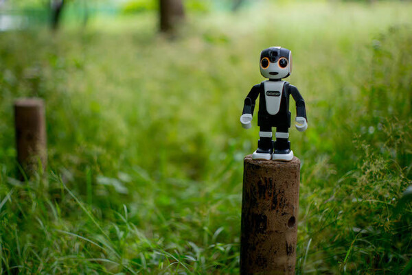 robohon04