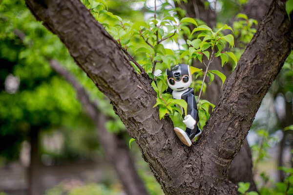 robohon07