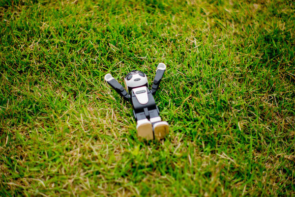 robohon08