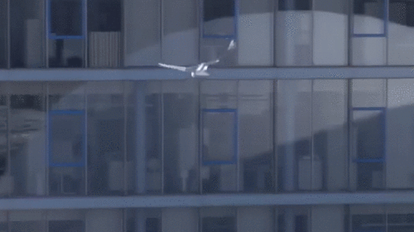 smartbird