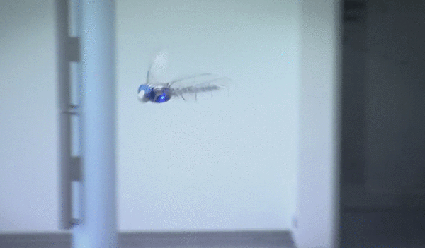 BionicOpter