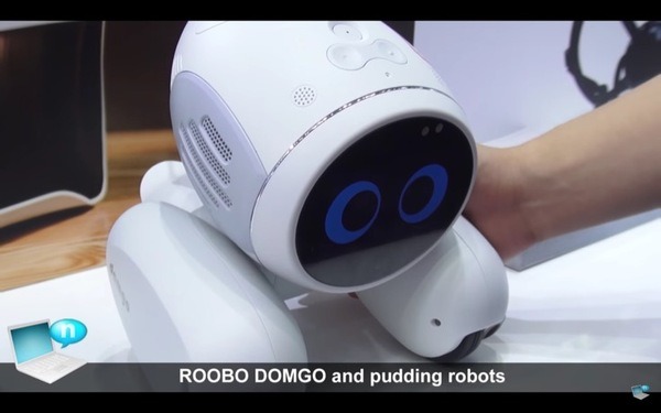 domgy-01