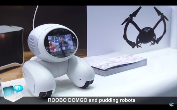 domgy-08