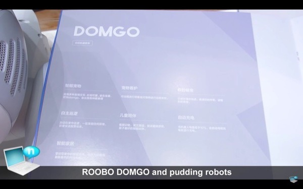 domgy-02