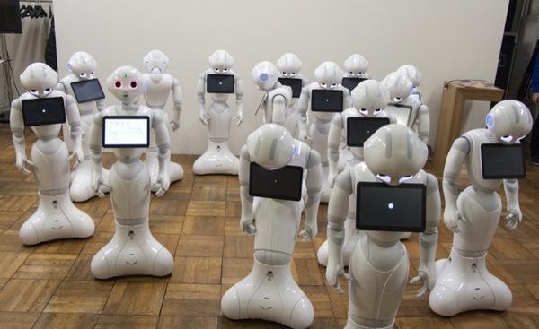 Pepper-shito-01