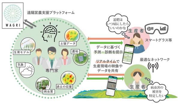 農研機構・NTT東日本・NTTアグリが「遠隔営農支援プロジェクト」で連携　専門家が遠隔からタマネギ栽培の支援