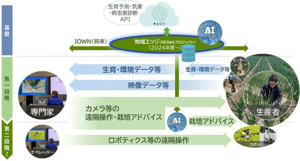 農研機構・NTT東日本・NTTアグリが「遠隔営農支援プロジェクト」で連携　専門家が遠隔からタマネギ栽培の支援