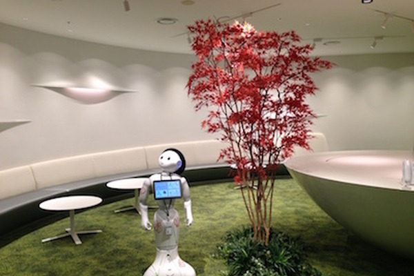 Pepperアプリを簡単に開発できるM-SOLUTIONS社「Smart at robo for Pepper」を見てきました。 画像