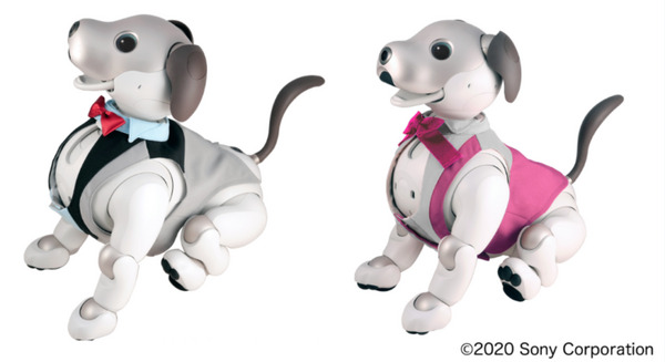ソニーのロボットペット「aibo」向けウェア　ロボット用アパレルブランド「ロボユニ」から発売 画像