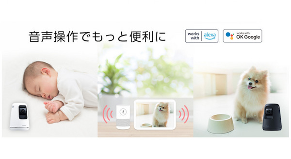 パナソニックの「HDペットカメラ」「ベビーカメラ」「屋内HDカメラ」がAlexaに対応　音声操作で温度確認やカメラ映像を画面表示 画像