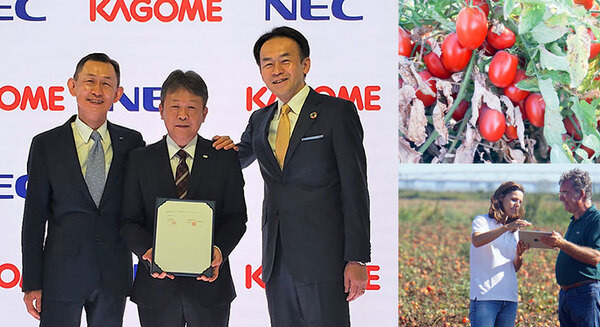 カゴメとNEC、デジタルツインとスマート農業の合弁会社を設立　天気情報/IoT/衛星/AIを活用して加工用トマト農業を営農支援 画像