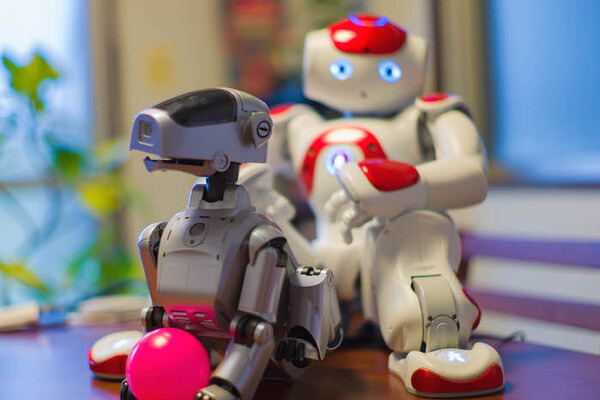 ロボットペット、AIBOがやってきた！ 画像