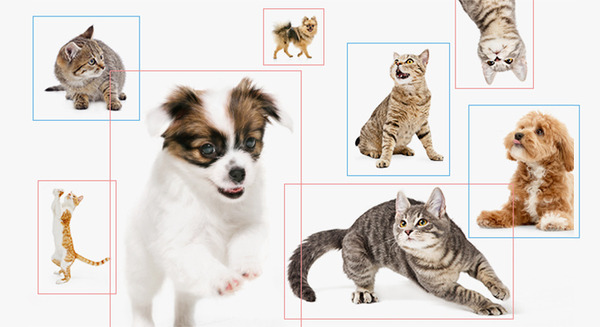 ペットの感情を動画からAIが判定するシステムの特許をアニコムHDが取得 画像