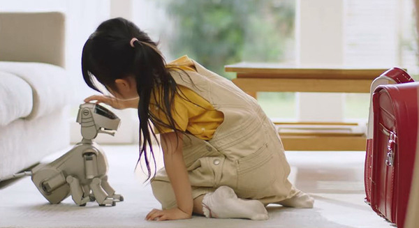 ソニーが動画「アイボ25周年ショートムービー」をSNSで公開、女の子とアイボが紡ぐ25年間のストーリー 画像