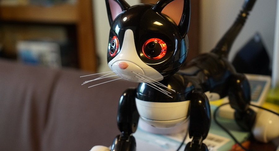 <p>シェア 0 ツイート 0 はてブ 0</p>