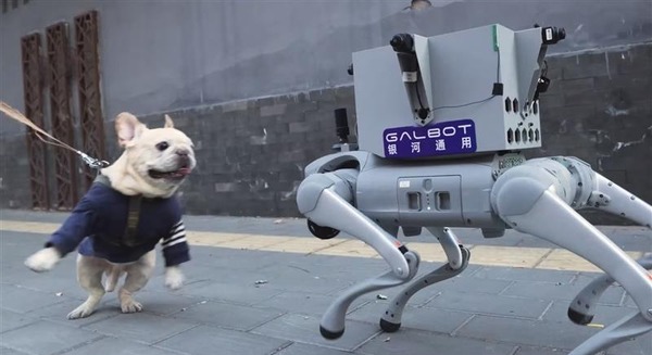 Embodied AIと汎用ロボットのGalbot 複雑タスクを自律実行する「DexNDM」「NavFoM」を発表 画像
