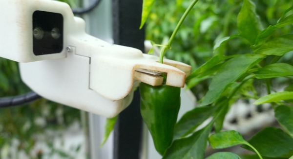 AGRIST、Microsoftとの連携でフィジカルAI×農業の先進事例に AI収穫ロボットで世界の食料課題へ挑む