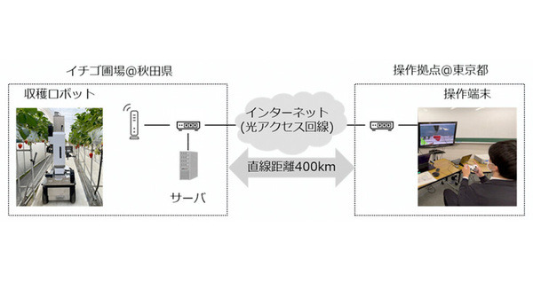 NTT 約400km離れた場所のイチゴを遠隔操作ロボットで収穫に成功　ユーザビリティの高いスマート農業