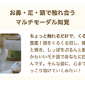 抱きしめると鼓動が伝わる！感情認識AIロボット「iMoochi」がMakuakeに登場【ZTE子会社】