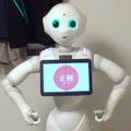 かるた5