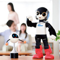 robi2-01