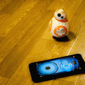 bb-8-14
