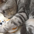 bb-8-20