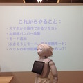 「Pepper App Challenge 2015 Winter ハッカソン #2」に行ってきました。 #pac2015w
