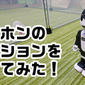 <p><a href=