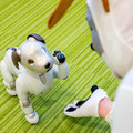 ロボットスタートが次世代ペットロボット型人間「アイポ(aipo)」を開発!