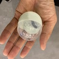 心を癒やすロボット「Qoobo」第2回「秘密の」ファンミーティングに潜入！