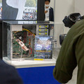 日本最大規模のAI専門展「AI・人工知能EXPO【春】」開幕　展示会場の様子を写真でレポート