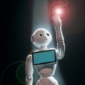 Pepper-shito-04