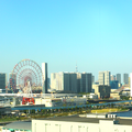 特大ペッパソン