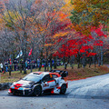 世界ラリー選手権(WRC)「ラリー・ジャパン」12年ぶりに開催　競技車は今シーズンからハイブリッドに！トヨタの脱炭素へのアプローチ