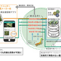 農研機構・NTT東日本・NTTアグリが「遠隔営農支援プロジェクト」で連携　専門家が遠隔からタマネギ栽培の支援